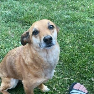 Meet your Posher, Hank